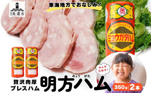 明方 ハム 2本 プレスハム JA ブランド 豚肉 お肉 国産 熟成 塩分 控えめ 豚腸 バーベキュー BBQ 加工品 お取り寄せ 贈答 ギフト 送料無料 めぐみの農業協同組合 岐阜県 美濃市 2141321 - 岐阜県美濃市