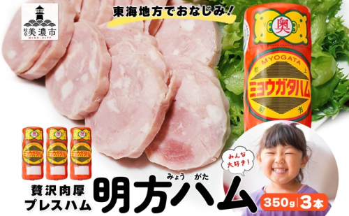 明方 ハム 3本 プレスハム JA ブランド 豚肉 お肉 国産 熟成 塩分 控えめ 豚腸 バーベキュー BBQ 加工品 お取り寄せ 贈答 ギフト 送料無料 めぐみの農業協同組合 岐阜県 美濃市 2141322 - 岐阜県美濃市