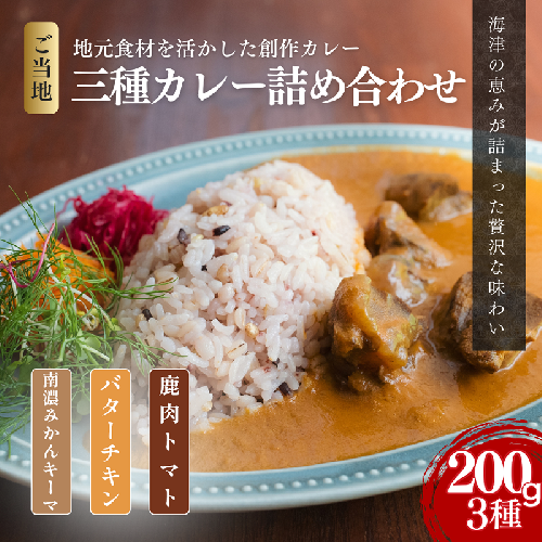 オリジナルご当地三種カレー詰め合わせ (南濃みかん・バターチキンカレー・鹿肉トマト) カレー ご当地カレー 詰め合わせ セット 岐阜 海津市 2141329 - 岐阜県海津市