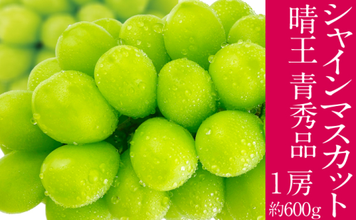 2026年予約受付中 シャインマスカット 晴王 7月～8月出荷 1房 約600g  人気 岡山県産 種無し 皮ごと食べる みずみずしい  フレッシュ 晴れの国 おかやま 果物大国 ハレノフルーツ 2141373 - 岡山県瀬戸内市