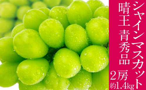 2026年予約受付中 シャインマスカット 晴王 7月～8月出荷 2房 約1.4kg  人気 岡山県産 種無し 皮ごと食べる みずみずしい  フレッシュ 晴れの国 おかやま 果物大国 ハレノフルーツ 2141376 - 岡山県瀬戸内市