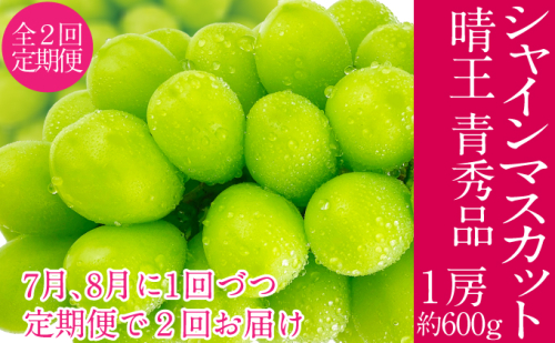 2026年予約受付中 シャインマスカット 晴王 7月8月に1回づつ出荷 2回 定期便 1房 約600g  人気 岡山県産 種無し 皮ごと食べる みずみずしい  フレッシュ 晴れの国 おかやま 果物大国 ハレノフルーツ 2141377 - 岡山県瀬戸内市