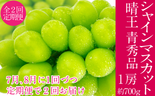 2026年予約受付中 シャインマスカット 晴王 7月8月に1回づつ出荷 2回 定期便 1房 約700g  人気 岡山県産 種無し 皮ごと食べる みずみずしい  フレッシュ 晴れの国 おかやま 果物大国 ハレノフルーツ 2141378 - 岡山県瀬戸内市