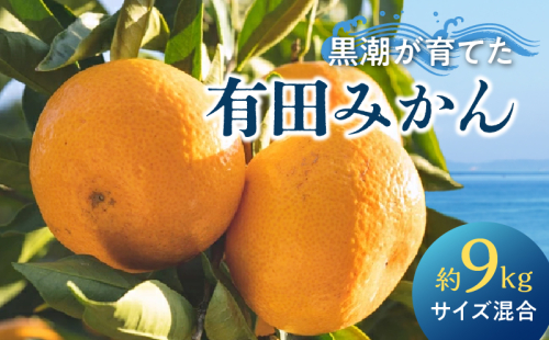 AE6110_【2025年先行予約】黒潮が育てた 有田みかん 約9kg (サイズ混合) 2141405 - 和歌山県湯浅町
