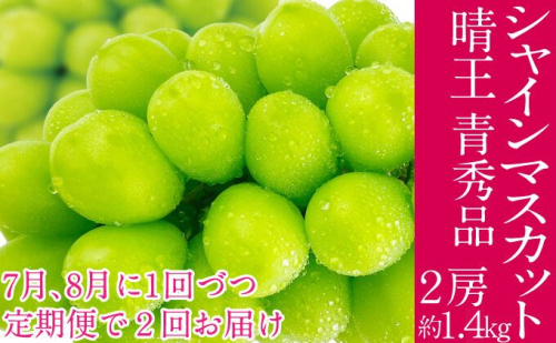 2026年予約受付中【2回定期便】 シャインマスカット 晴王 7月8月に1回づつ出荷 2房 約1.4kg  人気 岡山県産 種無し 皮ごと食べる みずみずしい  フレッシュ 晴れの国 おかやま 果物大国 ハレノフルーツ 2141427 - 岡山県玉野市