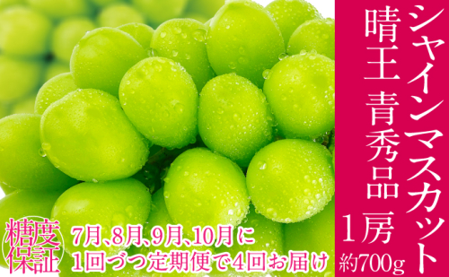 2026年予約受付中【4回定期便】 シャインマスカット 晴王 7月8月9月10月に1回づつ出荷   1房 約700g  人気 岡山県産 種無し 皮ごと食べる みずみずしい  フレッシュ 晴れの国 おかやま 果物大国 ハレノフルーツ 2141433 - 岡山県玉野市