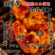 【食肉総合卸 丸正】厳選国産牛ホルモン焼肉用［153M04］