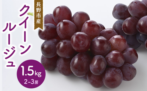 クイーンルージュ 1.5kg 2-3房 長野市産 フルーツ 果物 ぶどう ※配送不可:沖縄、離島 2141447 - 長野県長野市