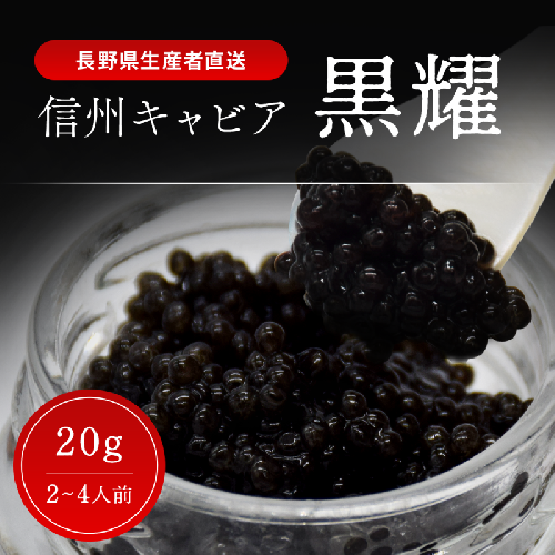 黒耀 信州キャビア 20g 黒耀 信州キャビア20g 入瓶 キャビアスプーン付 化粧箱入り 長野県製造 冷凍生キャビア キャビア 生キャビア 生 スプーン付き 信州 長野県 2141463 - 長野県長和町
