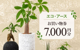 エコアースでは、環境に優しい植物付き器「eco-pochi（エコポチ）」を作っています。eco-pochiは、見た目の癒しと同時に、空間の消臭効果も発揮するインテリアグリーンです。土を使わず、水苔で植