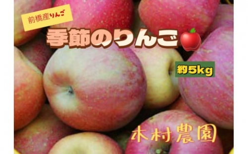 A-40　季節のりんご　5kg 214152 - 群馬県前橋市