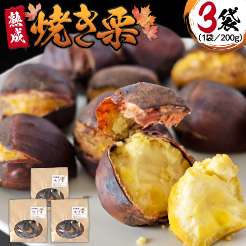 《 先行予約 》《 吉原農場 の 完熟栗 》熟成 焼き栗 ( 200g × 3袋 ) 完熟 栗 くり クリ 栗ごはん 果物 フルーツ 贈答 ギフト 旬 秋の味覚 秋 冬 正月 おせち《 2025年10月下旬発送開始 》 [FC008sa] 2141983 - 茨城県桜川市