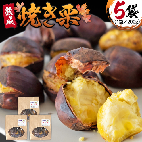 《 吉原農場 の 完熟栗 》熟成 焼き栗 ( 200g × 5袋 ) 完熟 栗 くり クリ 栗ごはん 果物 フルーツ 贈答 ギフト 旬 秋の味覚 秋 冬 正月 おせち《 2025年10月下旬発送開始 》 [FC009sa] 2141984 - 茨城県桜川市