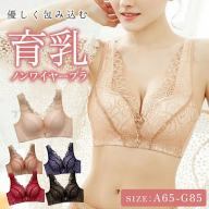 ノンワイヤー育乳ブラ［173N45］