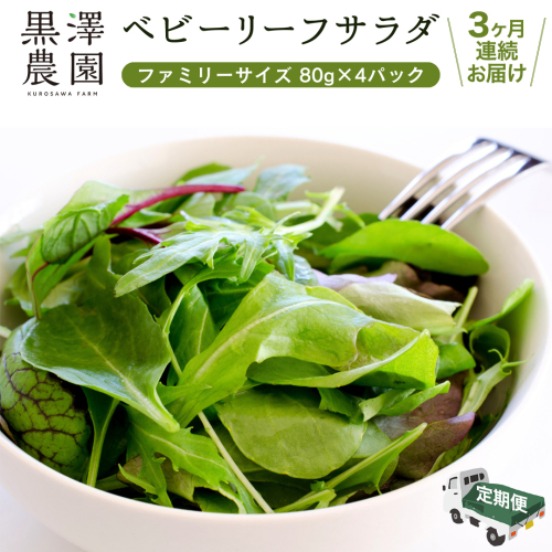 【 定期便 】3か月連続でお届け！ 黒澤農園 の ベビーリーフサラダ （ 80g × 4パック ）ファミリーサイズ ベビーリーフ サラダ 生野菜 食べやすい 若葉 ファミリー 旬 新鮮 国産 彩り 頒布会 野菜 葉野菜 国産 直送 定期 [DS04-NT] 2142097 - 茨城県つくばみらい市