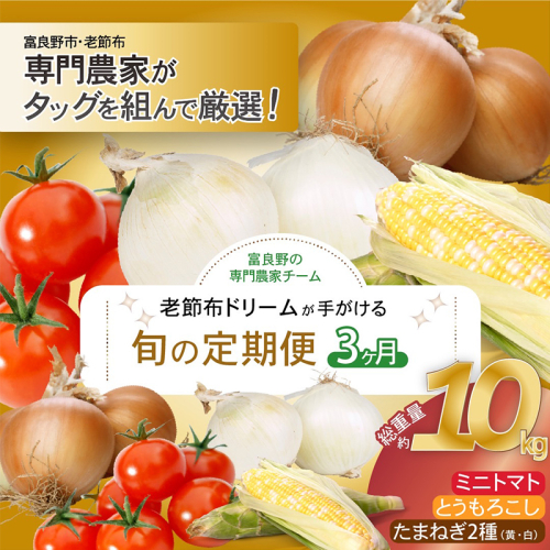 【2025年発送】全3回 富良野 専門農家が選ぶ 旬の贅沢定期便 北海道 富良野市 老節布 野菜 ミニトマト とうもろこし スイートコーン 玉ねぎ たまねぎ 玉葱 白玉ねぎ 甘い 2142192 - 北海道富良野市