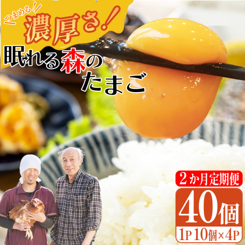 【2か月連続お届け】眠れる森のたまご 朝採れ卵40個　たまご タマゴ 卵 鶏卵 濃厚 こだわり 新鮮 定期便　【04301-0797】 2142383 - 宮城県蔵王町