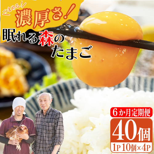 【6か月連続お届け】眠れる森のたまご 朝採れ卵40個　たまご タマゴ 卵 鶏卵 濃厚 こだわり 新鮮 定期便　【04301-0798】 2142384 - 宮城県蔵王町