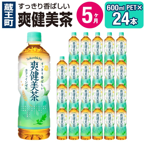 【5か月連続お届け】爽健美茶 600ml PET×24本 【04301-0029】 2142389 - 宮城県蔵王町