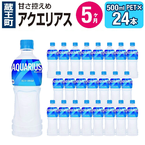 【5か月連続お届け】アクエリアス 500ml PET×24本 【04301-0041】 2142392 - 宮城県蔵王町