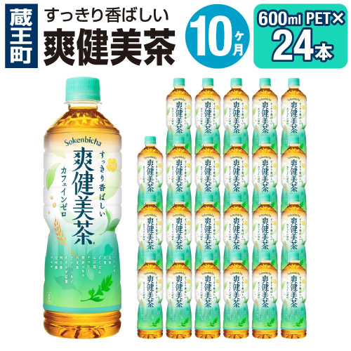 【10か月連続お届け】爽健美茶 600ml PET×24本 【04301-0030】 2142393 - 宮城県蔵王町