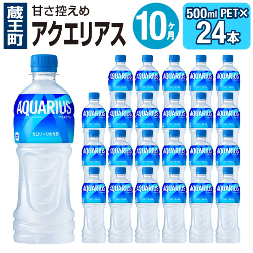 【10か月連続お届け】アクエリアス 500ml PET×24本 【04301-0042】 2142396 - 宮城県蔵王町
