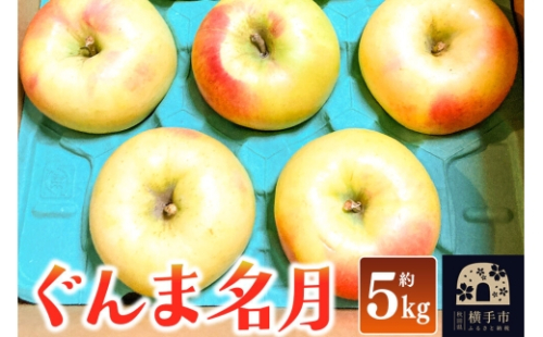 【先行受付】11月上旬より発送 ぐんま名月 ご家庭用 約5kg りんご リンゴ 林檎 [先行予約 りんご 林檎 リンゴ 群馬名月 果物 フルーツ 横手産 秋田産 秋田県産]