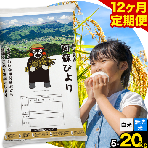 【12ヶ月定期便】阿蘇びより 選べる 白米 無洗米 5kg 10kg 15kg 20kg 《お申込み月の翌月から出荷開始》｜訳あり 国産米 人気米 熊本県産米 お米 生活応援米 2142493 - 熊本県南阿蘇村