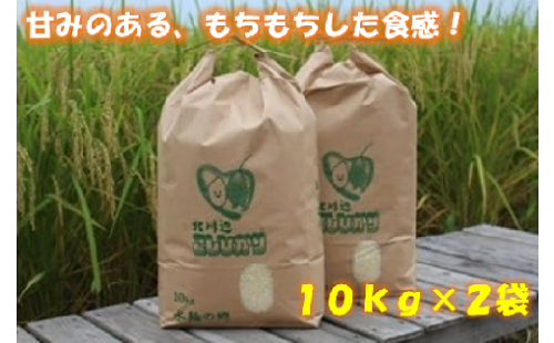 埼玉県一位の米どころ「北川辺こしひかり（20kg）」甘みあるもちもち食感