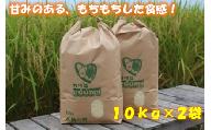 埼玉県一位の米どころ「北川辺こしひかり（20kg）」甘みあるもちもち食感