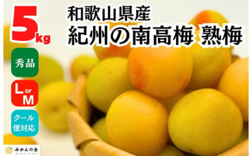熟梅 南高梅 5kg 秀品  LまたはMサイズ 和歌山県産 A品 梅干し作り用 梅ジャム作り用 2142623 - 和歌山県有田川町