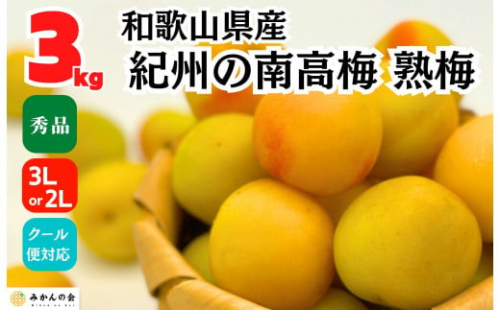熟梅 南高梅 3kg 秀品 3Lまたは2Lサイズ 和歌山県産 A品 梅干し作り用 梅ジャム作り用 2142626 - 和歌山県有田川町