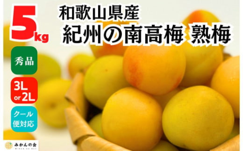 熟梅 南高梅 5kg 秀品 3Lまたは2Lサイズ 和歌山県産 A品 梅干し作り用 梅ジャム作り用 2142627 - 和歌山県有田川町