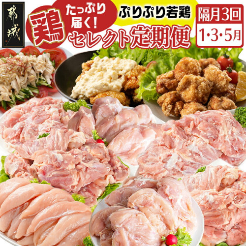 【セレクト定期便】～たっぷり～鶏定期便(3ヶ月)1月・3月・5月お届け≪2026年お届け≫_T41-MY02 2142629 - 宮崎県都城市