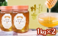 はちみつ 国産 100％ 天然はちみつ もちのき 2kg (1kg×2) 無添加 無加工 ハチミツ 蜂蜜