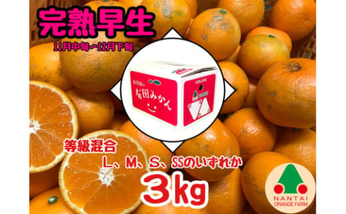 等級混合 完熟早生 有田 みかん L ～ SS サイズ 3kg 南泰園 和歌山 有田みかん 2142948 - 和歌山県有田川町