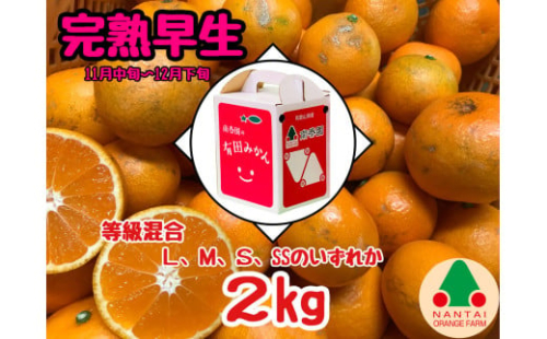 等級混合 完熟早生 有田 みかん L ～ SS サイズ 2kg 南泰園 和歌山 有田みかん 2142949 - 和歌山県有田川町