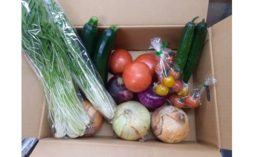 旬のお野菜詰め合わせセット【配送不可：北海道・沖縄・離島（一部除く）・島しょ部】 2143099 - 静岡県静岡市
