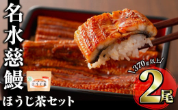 【名水慈鰻】身は程良い厚さで、皮が薄く、脂もしっとり、とっても美味しい鰻【ほうじ茶ティーバッグ】香ばしい香りと甘みのほうじ茶ティーバッグ【販売元】志布志市観光特産品協会【提供元】株式会社鹿児島鰻、株式
