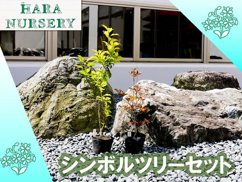 BS180_シンボルツリーセット 花 苗 植物 家庭菜園 花壇 プランター ガーデニング 2143172 - 佐賀県みやき町