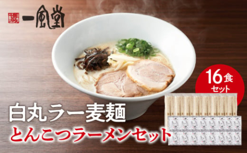 一風堂白丸ラー麦麺セット(16食) ラーメン とんこつ 豚骨 豚骨スープ ストレート麺 ラー麦 本格 福岡 ご当地 お取り寄せ 2143494 - 福岡県八女市