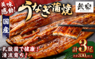 極上鰻！うまい！＜国産 うなぎ蒲焼 3尾 計330g以上＞ふるさと納税 うなぎ 高級 長蒲焼 鰻 夏バテ防止 ウナギ 鰻 かば焼き 蒲焼き 丑の日 タレ 宮崎県産 国産 九州産 宮崎県 高鍋町 送料無料