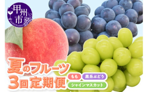 《選べる容量》【定期便】季節限定 夏のフルーツ3回定期便（KSB）【桃 黒系ぶどう シャインマスカット もも モモ 葡萄 ぶどう ブドウ 期間限定 山梨県産 甲州市 フルーツ 果物】 2143691 - 山梨県甲州市