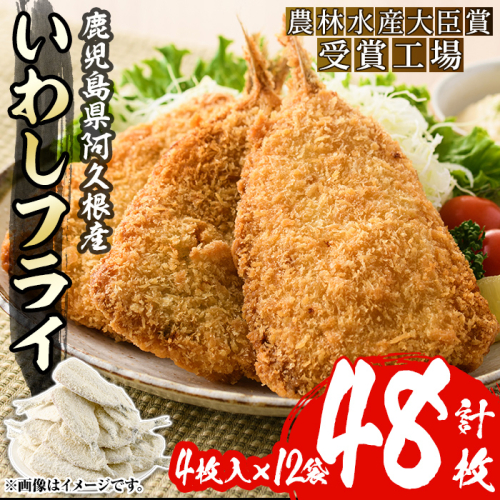 数量限定！鹿児島県産あくねのいわしフライ(計48枚・4枚入×12袋)国産 加工品 惣菜 揚げ物 セット 詰め合わせ おつまみ おかず 魚介【又間水産】akn001-11 2143771 - 鹿児島県阿久根市