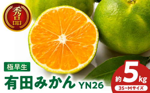 ZT6403_有田みかん　極早生　秀品　約5Kg 2143875 - 和歌山県湯浅町