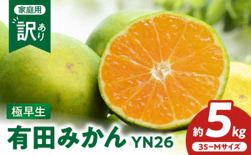ZT6404_有田みかん極早生　YN26　訳あり　ご家庭用　約5kg 2143891 - 和歌山県湯浅町
