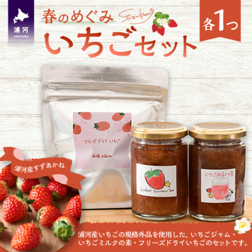 べてるの家の「いちごセット」[45-1477] 2143944 - 北海道浦河町