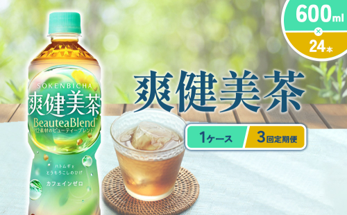 （3回定期便）爽健美茶 600ml PET【コカ・コーラ】ペットボトル 1ケース(24本) 定期便 3回(72本) セット お茶 カフェインゼロ ノンカフェイン ハトムギ ブレンド茶 宮崎県 えびの市 送料無料 2143969 - 宮崎県えびの市