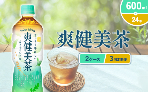 （3回定期便）爽健美茶 600ml PET【コカ・コーラ】ペットボトル 2ケース(48本) 定期便 3回(144本) セット お茶 カフェインゼロ ノンカフェイン ハトムギ ブレンド茶 宮崎県 えびの市 送料無料 2143972 - 宮崎県えびの市
