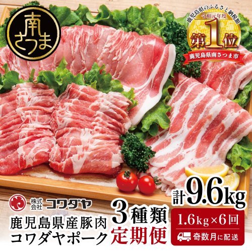 【定期便：全6回】鹿児島産 豚肉3種類セット 1.6kg×6回（合計9.6kg） 国産 鹿児島県産 豚肉 お取り寄せ かごしま グルメ 鍋 送料無料 鹿児島県 南さつま市 株式会社コワダヤ 2143984 - 鹿児島県南さつま市